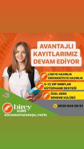 Birey Eğitim Kurumları