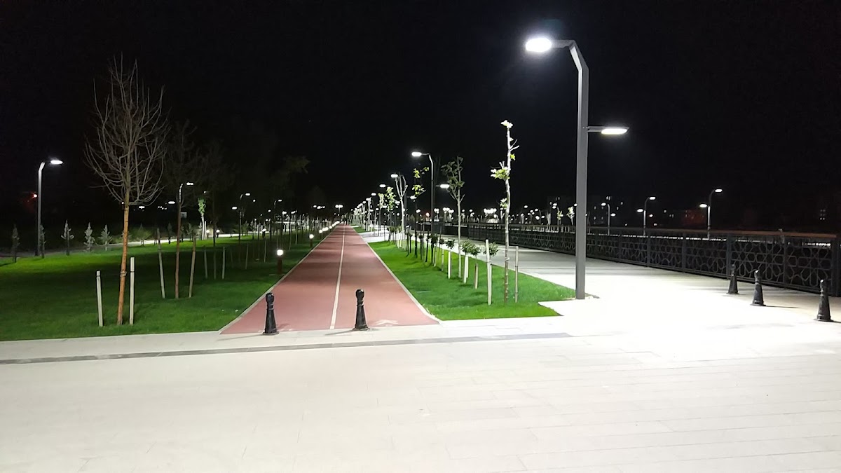 Tacin Park Logo
