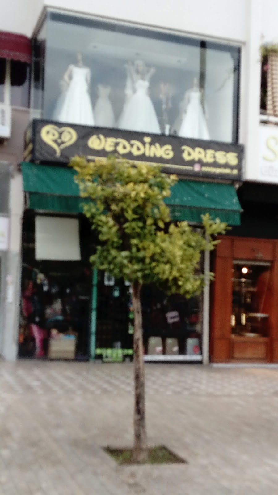 D.6 Wedding Dreses Logo