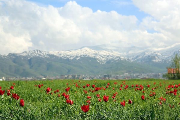 şato park düğün ve konferans salonu