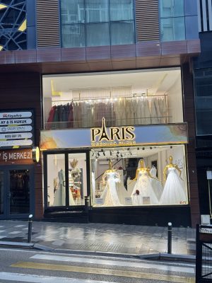 Paris Wedding Dress