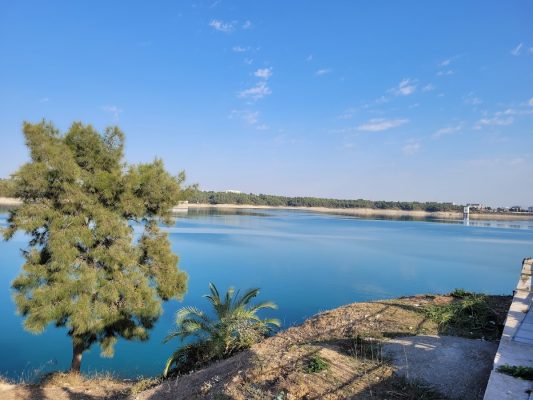 Dsi Düğün Salonu