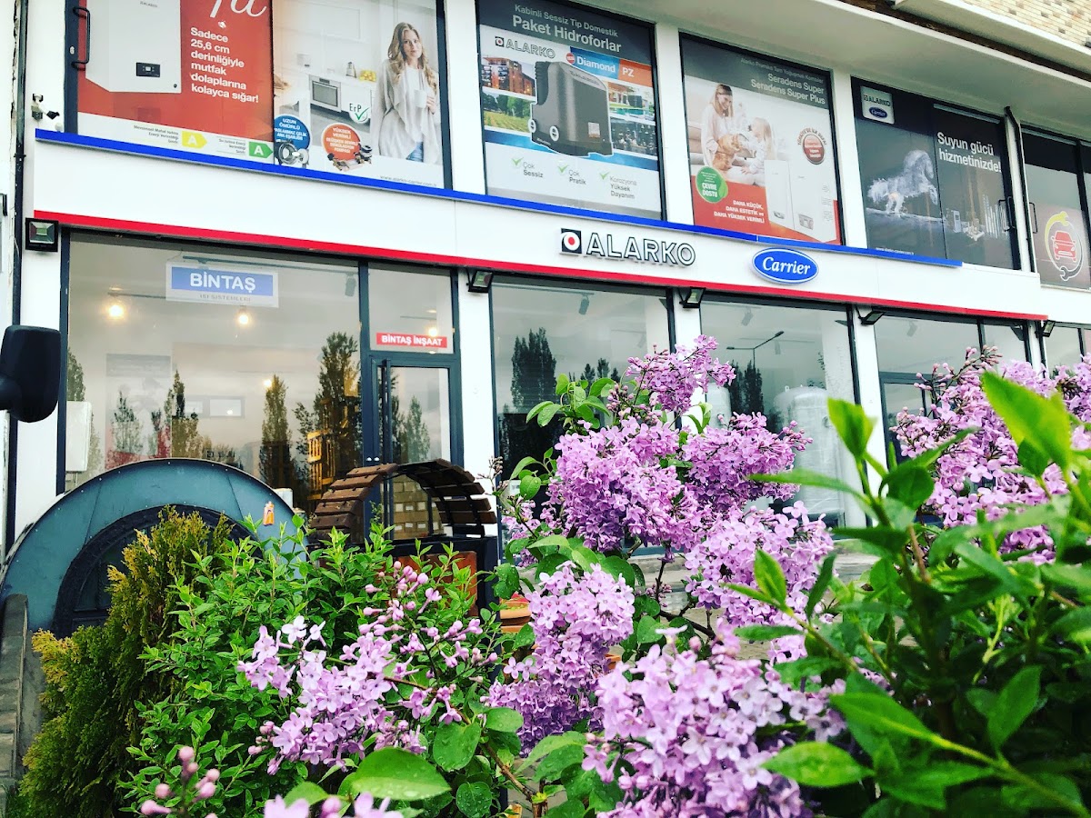 BİNTAŞ İNŞAAT Logo