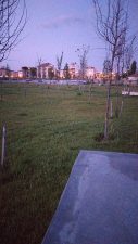 Tacin Park