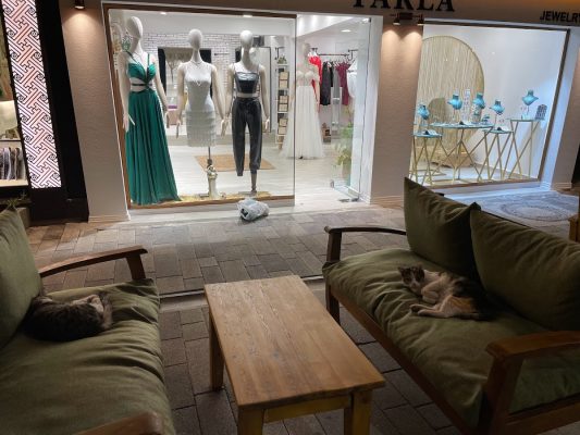 Parla Exclusive Gelinlik Nişanlık Abiye