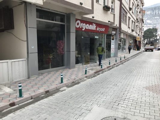 ORGANİK İNŞAAT