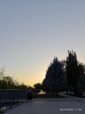 Tacin Park