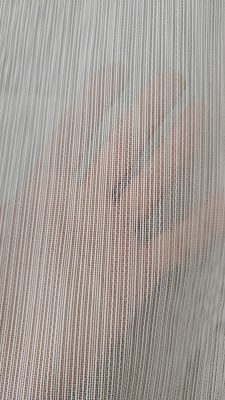 Asude Terzi