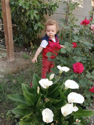 Nagehan Gelinlik Moda Evi