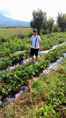 Çalışkanlar Serey Mimarlık Mühendislik Doğalgaz