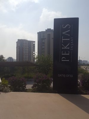 Pektas