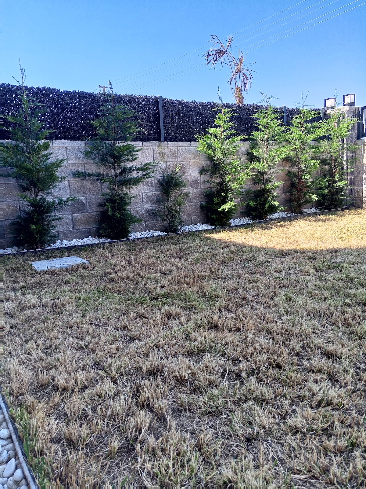 Bahçıvan Sebahattin Logo