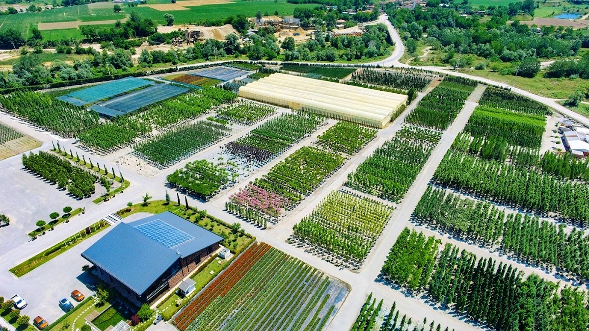 Sakarya Botanik Sanayi ve Ticaret Anonim Şirketi Logo