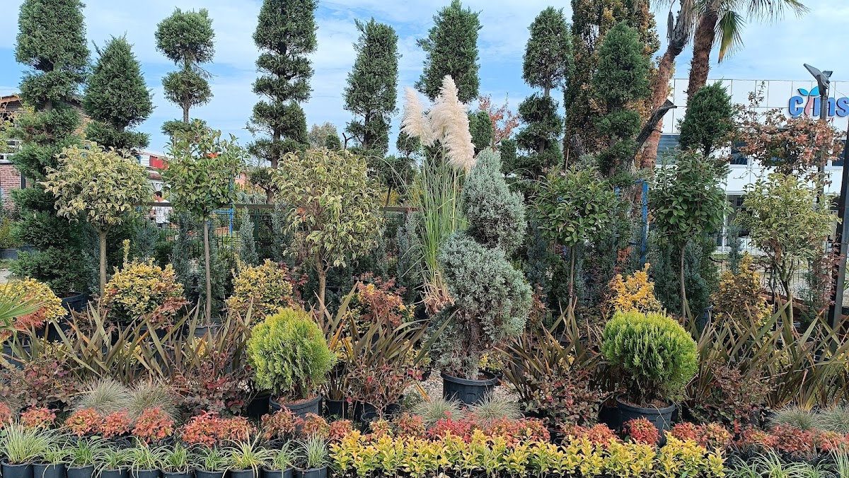 BİTKİM BENİM Logo