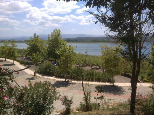 ECO Fidan Peyzaj