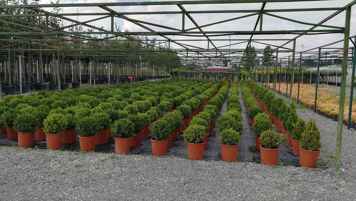 Serbestler Peyzaj Logo