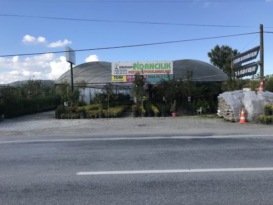 Dirliksoy Fidancılık