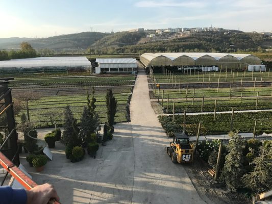 Koçak Peyzaj çiçek üretim tesisi