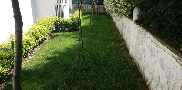 Karadeniz Peyzaj