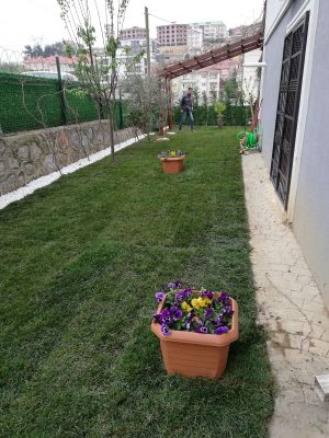 EKA PEYZAJ