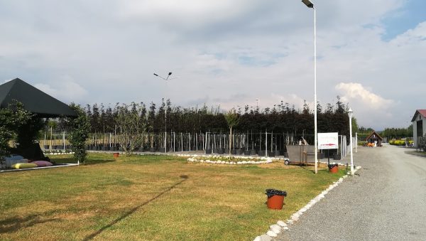 Serbestler Peyzaj