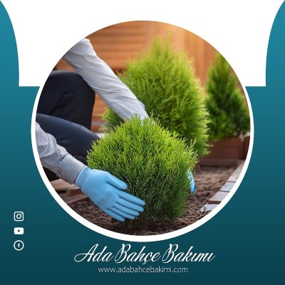 Ada Bahçe Bakımı - Sakarya Peyzaj ve Çim Biçme Hizmetleri