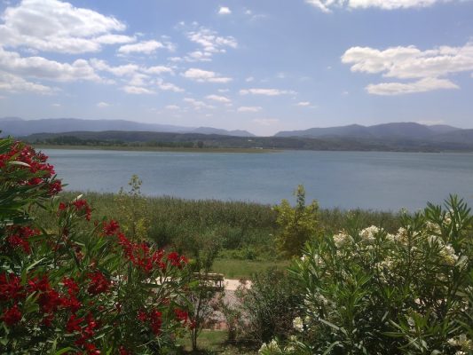 ECO Fidan Peyzaj