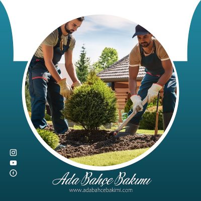 Ada Bahçe Bakımı - Sakarya Peyzaj ve Çim Biçme Hizmetleri