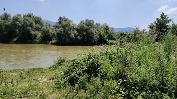 agy peyzaj