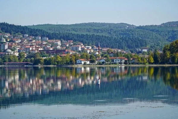 Sakarya logo
