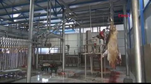 PİAR GRUP KUYUMCULYK İNŞAAT YATIRIM A.Ş